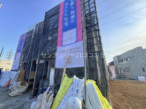 2026年3月12日撮影