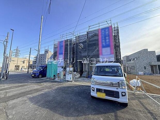 2026年3月12日撮影 全体写真