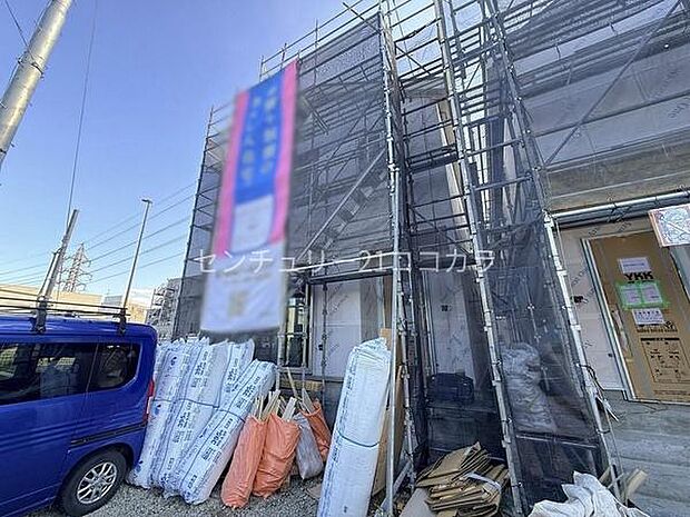 2026年3月12日撮影