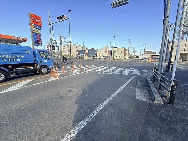 2026年3月12日撮影