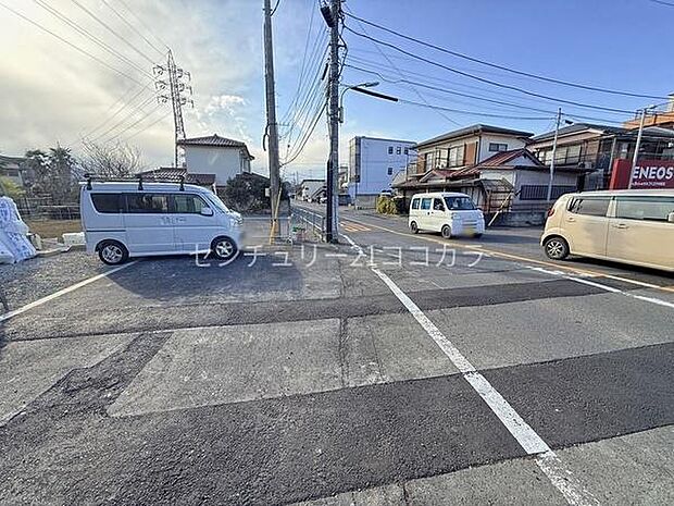 2026年3月12日撮影