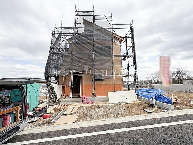 2026年3月16日撮影