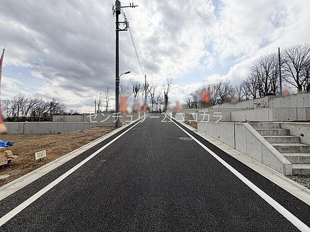 2026年3月16日撮影