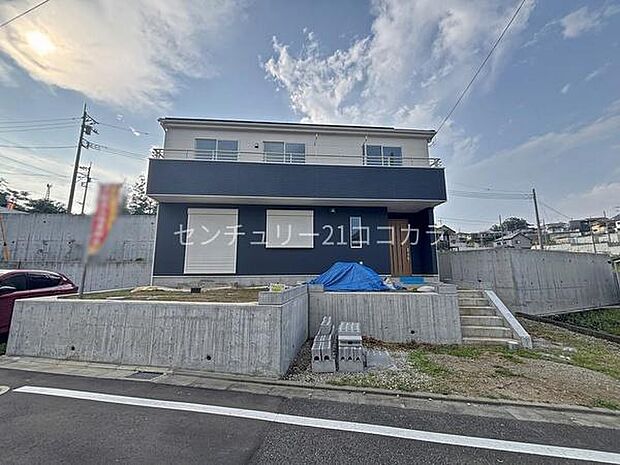 2026年7月24日撮影