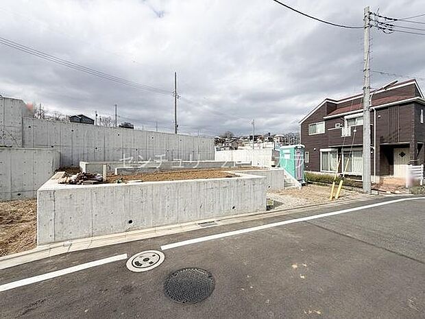 2026年3月16日撮影