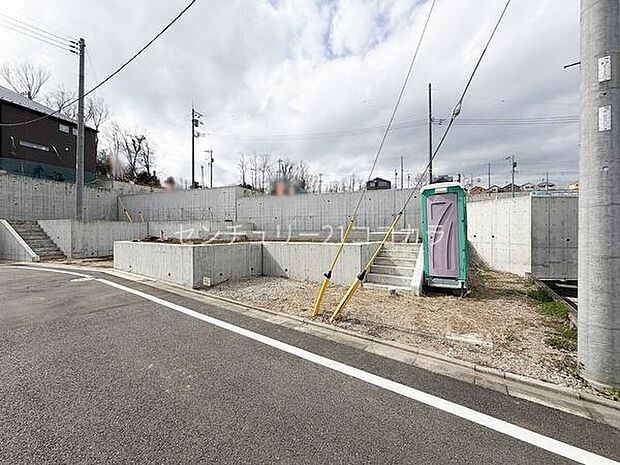 2026年3月16日撮影