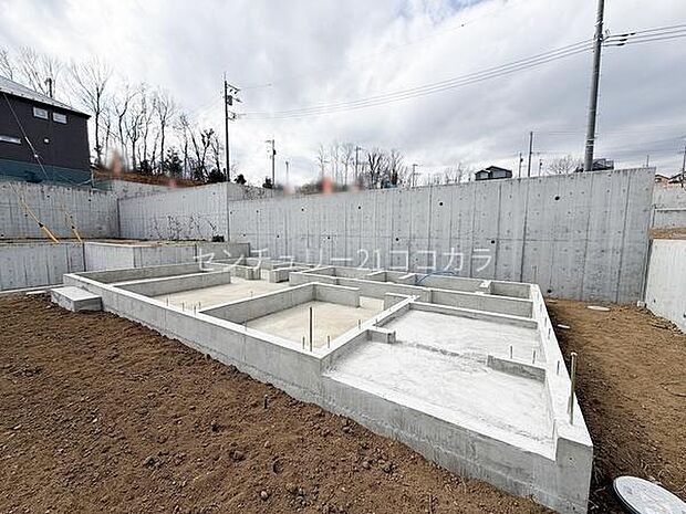 2026年3月16日撮影