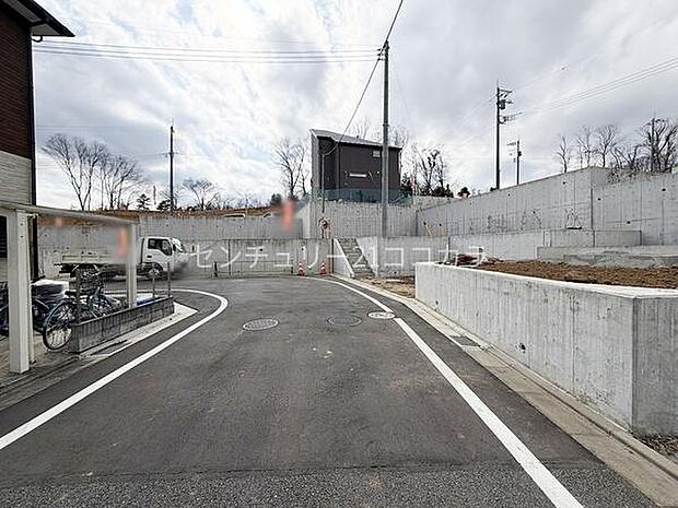 2026年3月16日撮影