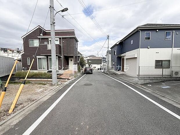 2026年3月16日撮影