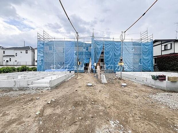 2026年5月14日撮影
