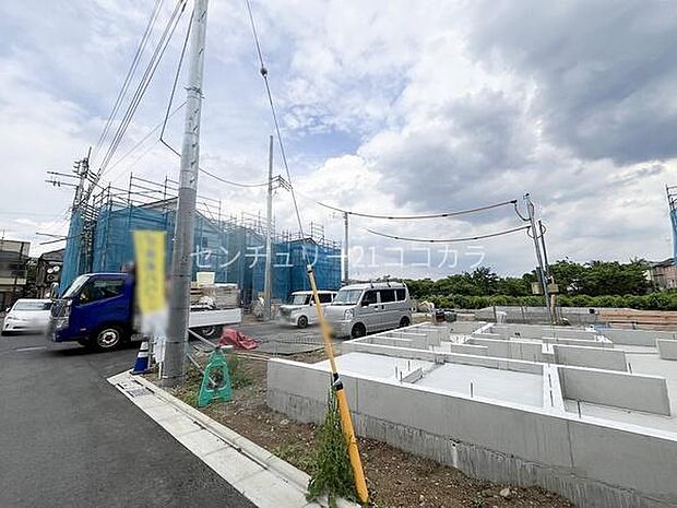 2026年5月14日撮影　全体写真