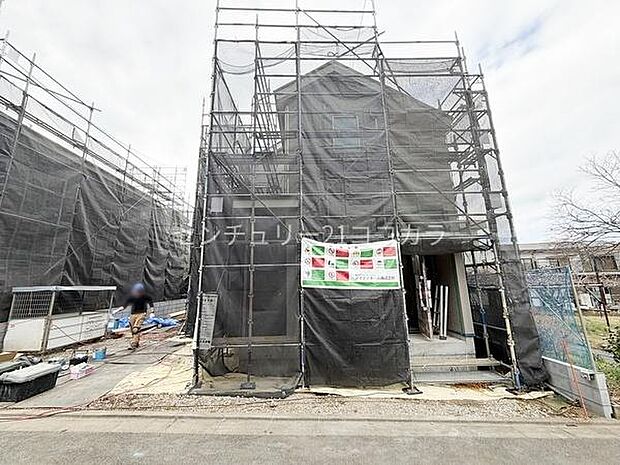 2026年3月16日撮影