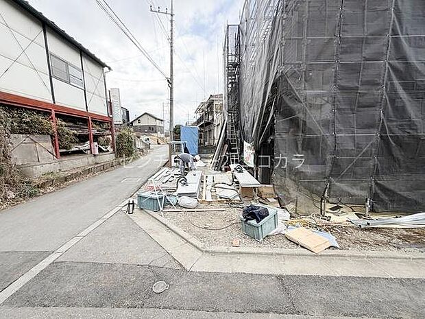 2026年3月16日撮影