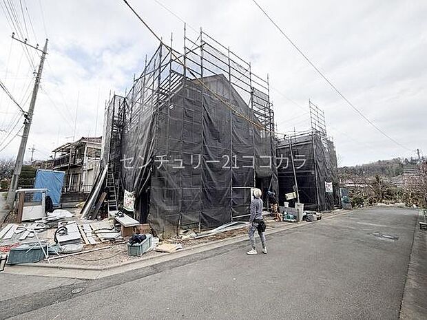 全体写真 2026年3月16日撮影