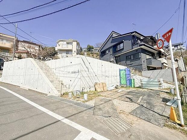 2026年3月15日撮影