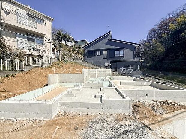 2026年3月15日撮影