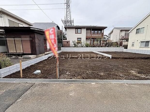 2026年4月6日撮影