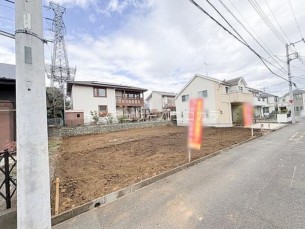 2026年3月19日撮影