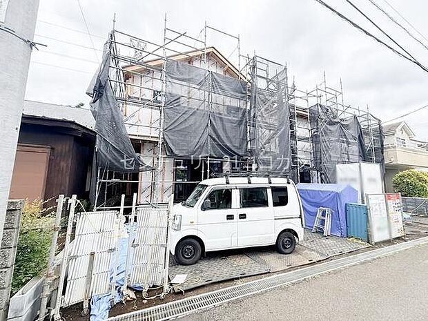 2026年6月8日撮影