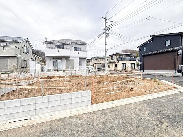 2026年3月19日撮影