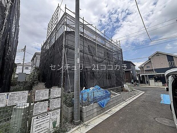 2026年7月27日撮影