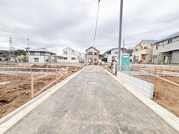 2026年3月19日撮影