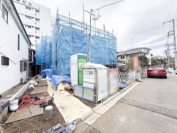 2026年3月19日撮影