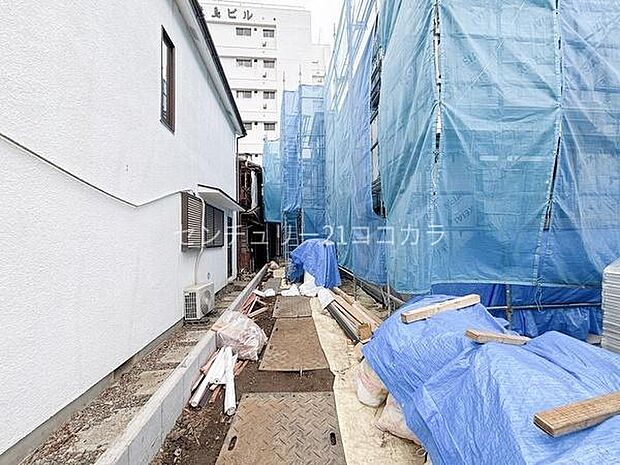 2026年3月19日撮影