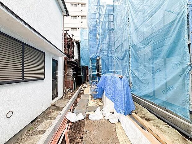 2026年3月19日撮影