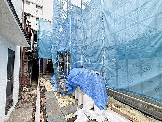 2026年3月19日撮影