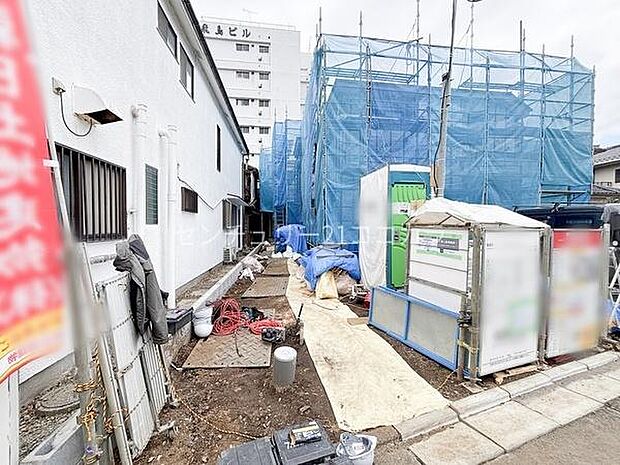 2026年3月19日撮影