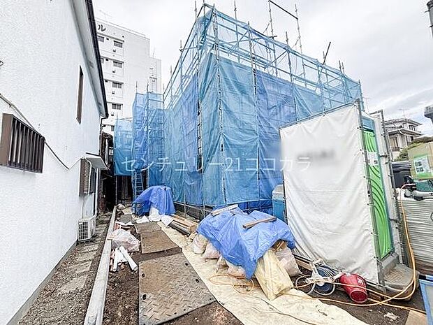 2026年3月19日撮影