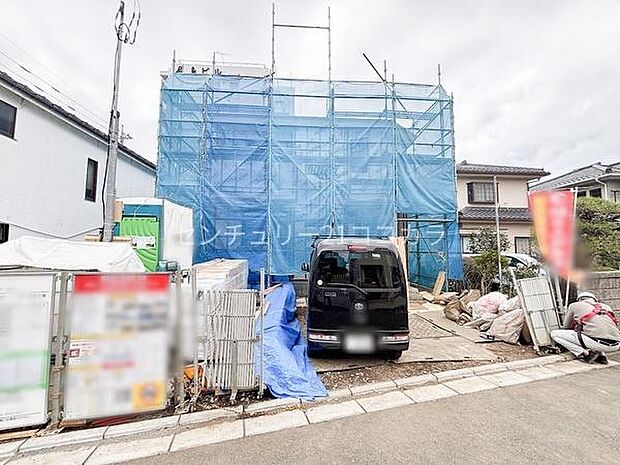 2026年3月19日撮影