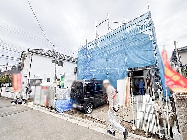 2026年3月19日撮影