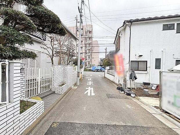 2026年3月19日撮影