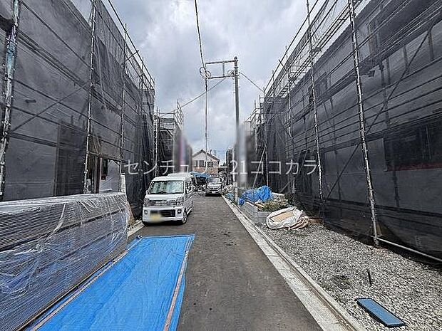 2026年7月27日撮影