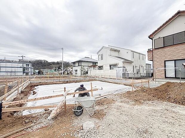 2026年3月19日撮影