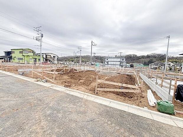 2026年3月19日撮影