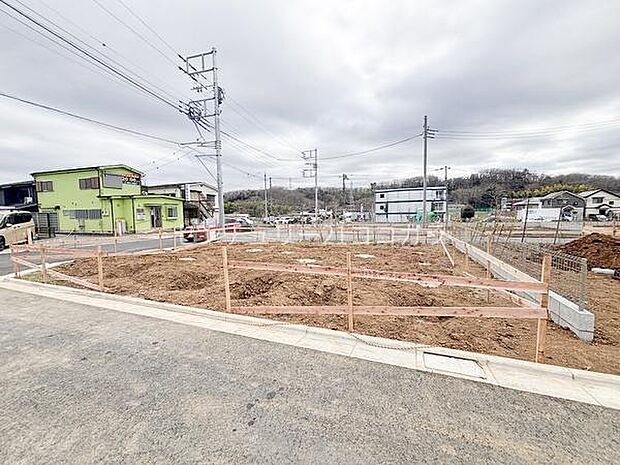 2026年3月19日撮影