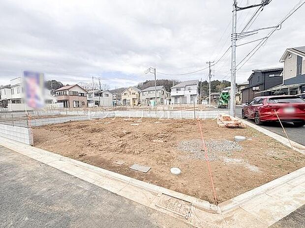 2026年3月19日撮影