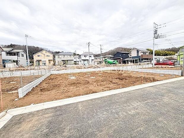 2026年3月19日撮影