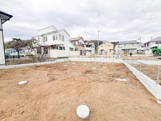 2026年3月19日撮影