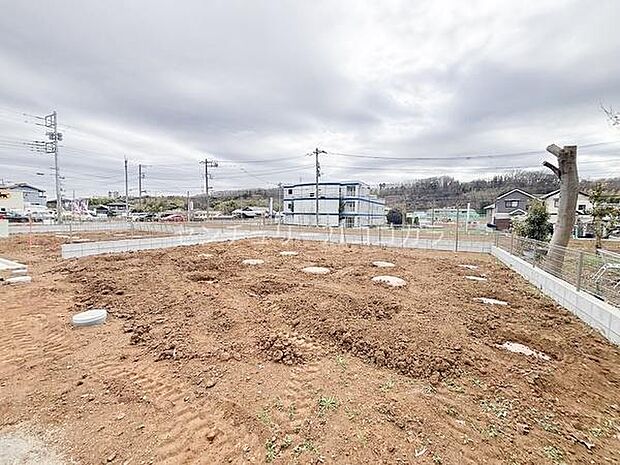 2026年3月19日撮影