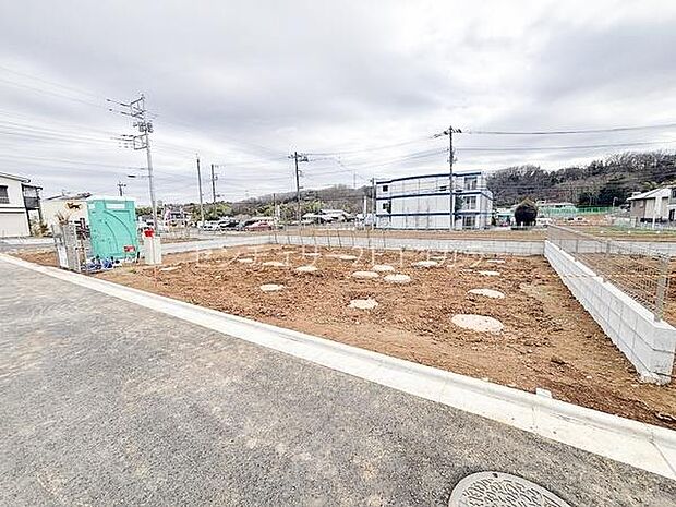 2026年3月19日撮影