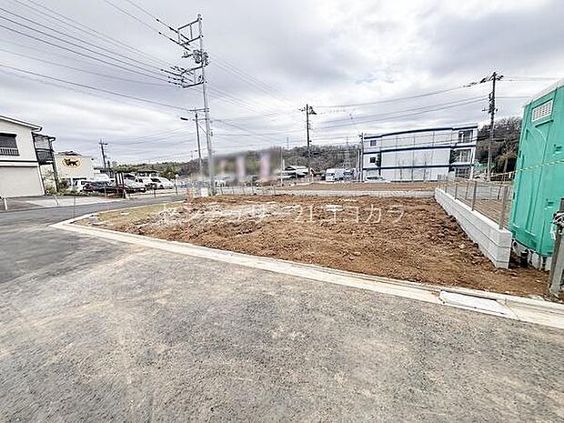 2026年3月19日撮影