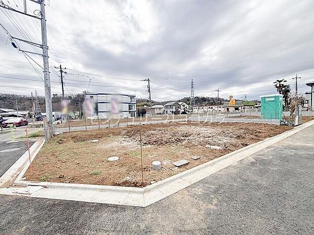 2026年3月19日撮影