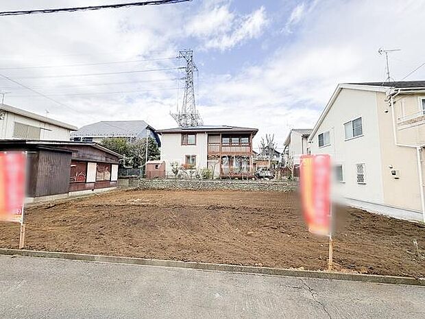 2026年3月19日撮影