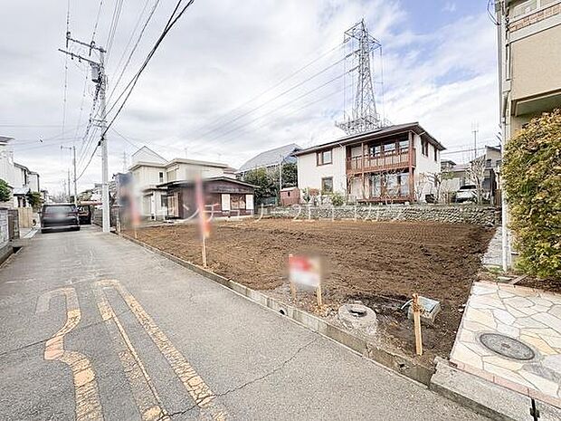 2026年3月19日撮影