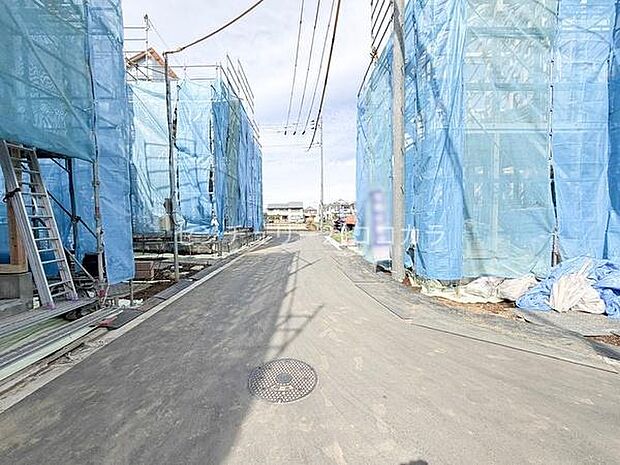 2026年2月27日撮影