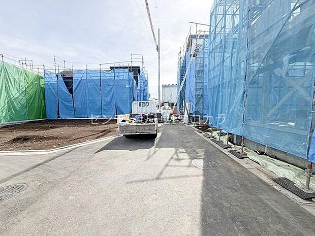 2026年2月27日撮影